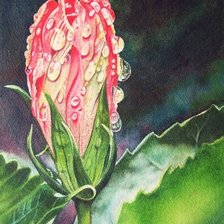 Схема вышивки «№246669»