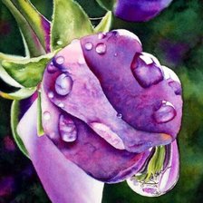 Схема вышивки «№246670»