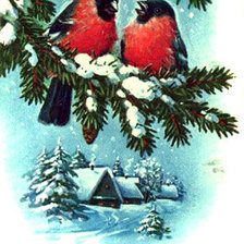 Схема вышивки «снегири 2»