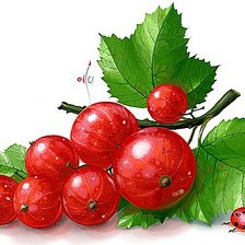 Схема вышивки «Красная смородина»