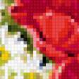 Предпросмотр схемы вышивки «Маки» (№246765)