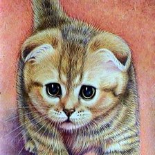 Схема вышивки «№246800»