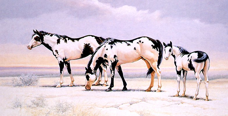 №246821 - оригинал