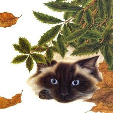 Схема вышивки «№246836»