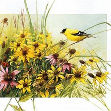 Серия Птицы