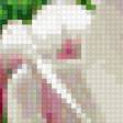 Предпросмотр схемы вышивки «Магнолия» (№246958)