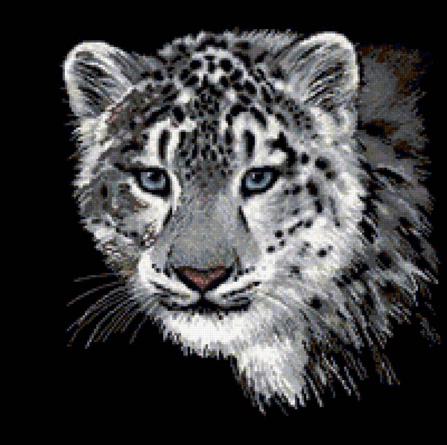 животные - предпросмотр