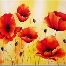 Схема вышивки «маки»