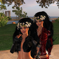 Схема вышивки «ЮЖНОАМЕРИКАНСКИЕ МЕТИСТКИ»