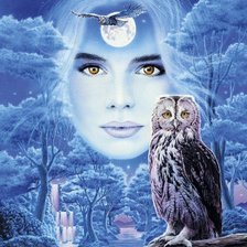 Схема вышивки «№247127»