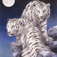 Схема вышивки «№247130»