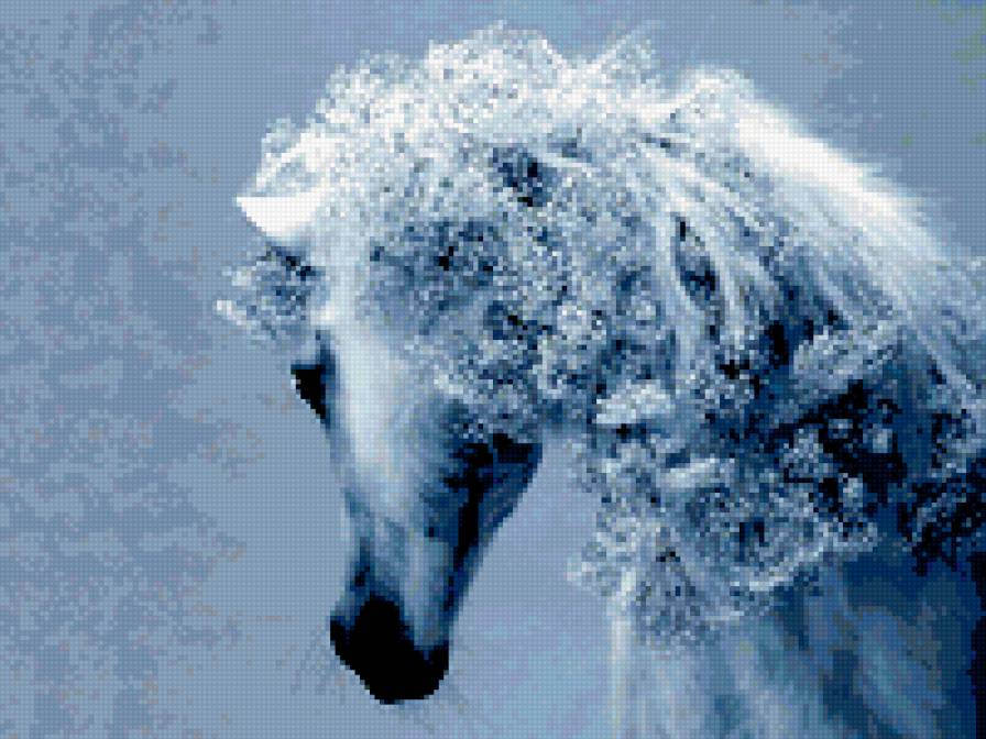 белоснежная лошадь - предпросмотр