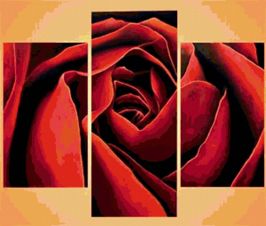 триптих - роза, цветы, триптих - предпросмотр