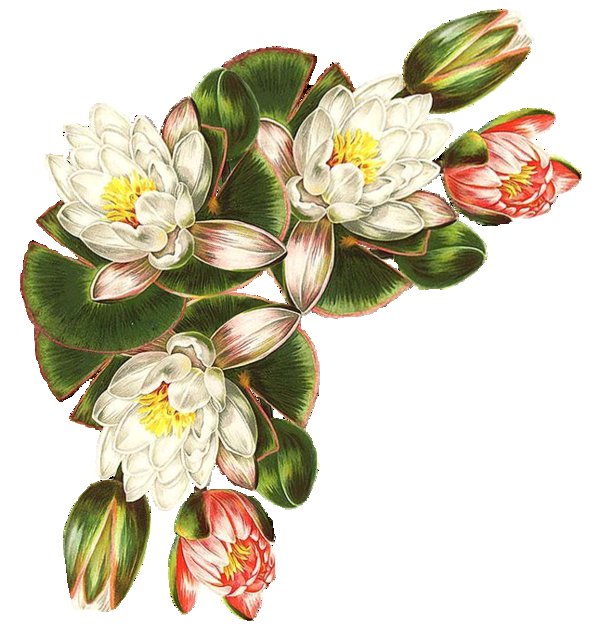 уголок для скатерти - лилии, полотенце, уголок, скатерть - оригинал