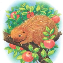 Схема вышивки «зверек»