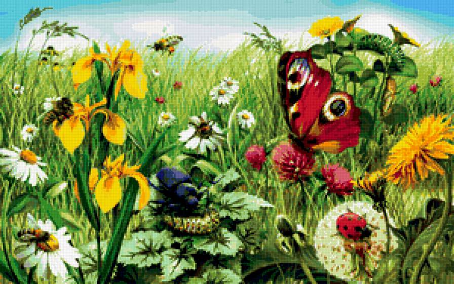 природа - насекомые, жук, цветы, поле, бабочка - предпросмотр