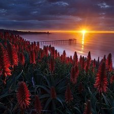 Схема вышивки «красота природы»