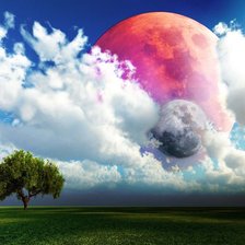 Схема вышивки «дерево»