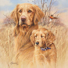 Схема вышивки «№247596»