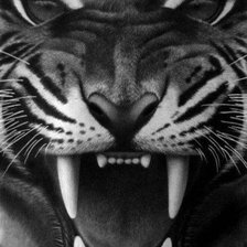 Схема вышивки «№247657»