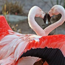 Схема вышивки «№247659»