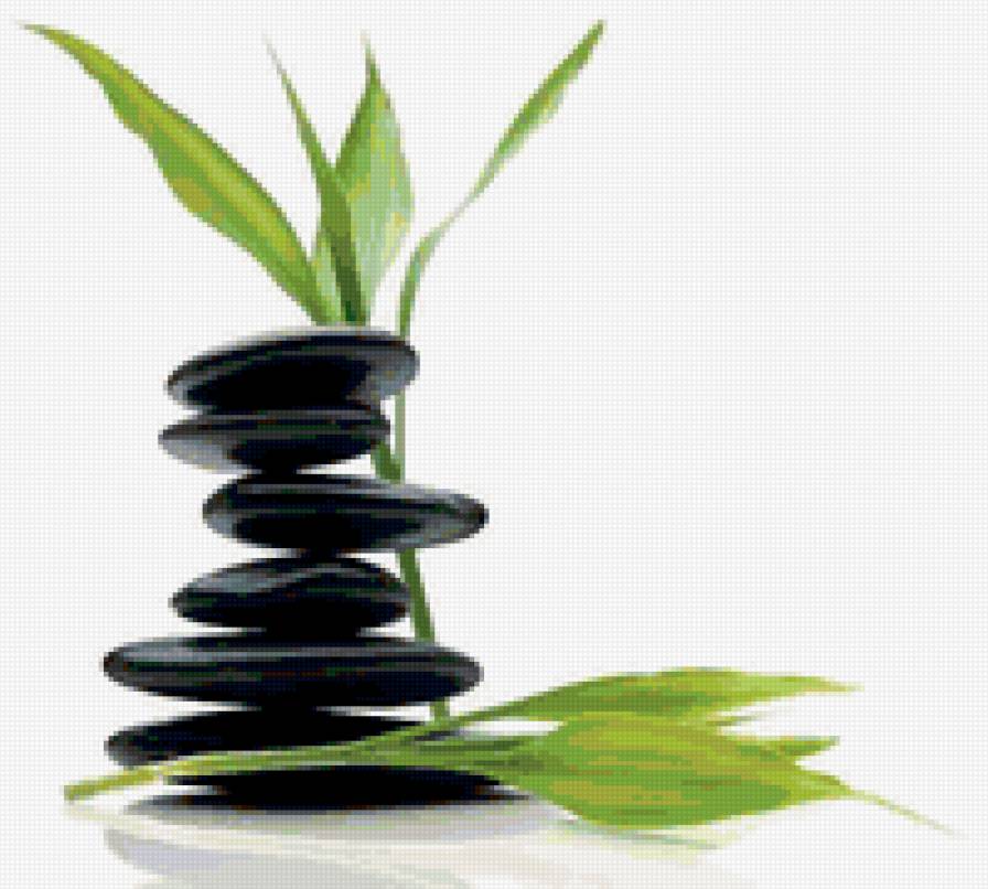 Бамбук - предпросмотр