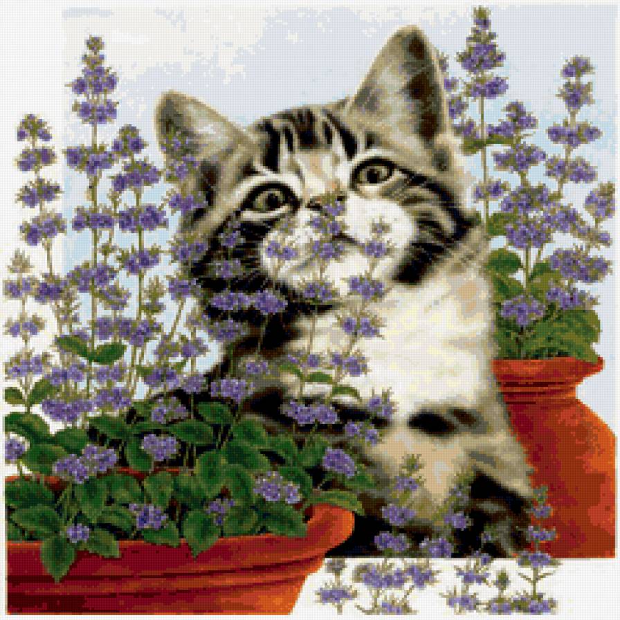 №247723 - предпросмотр