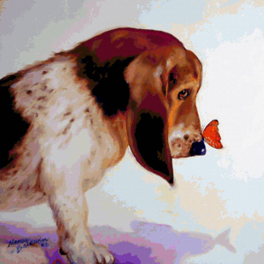 Удивление - животные, собаки, бабочки - предпросмотр