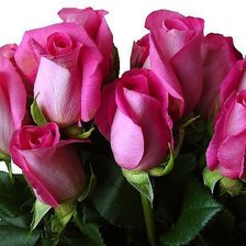 Схема вышивки «розы»