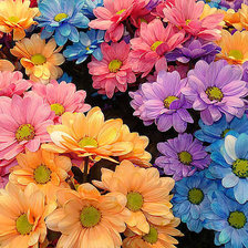 Схема вышивки «цветы»