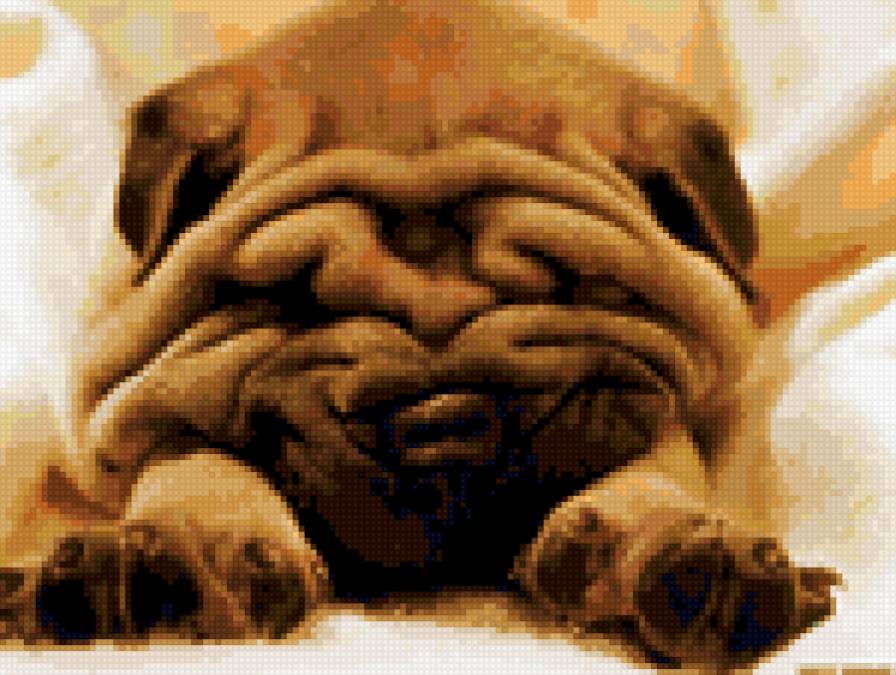 Щенок шарпея - собака, шарпей, щенок - предпросмотр