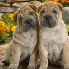 Схема вышивки «Милашки»