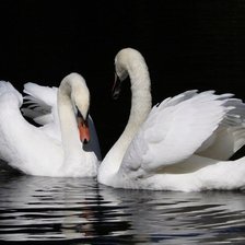 Схема вышивки «лебеди»
