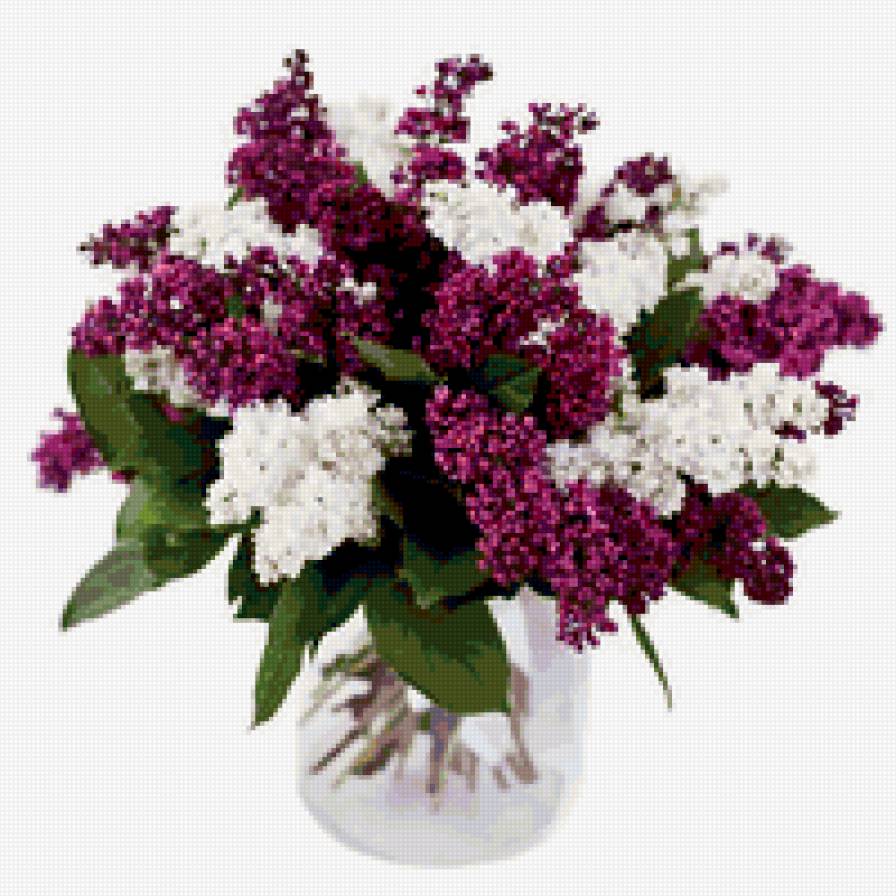 Букет сирени - букет, сирень, цветы - предпросмотр