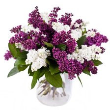 Схема вышивки «Букет сирени»