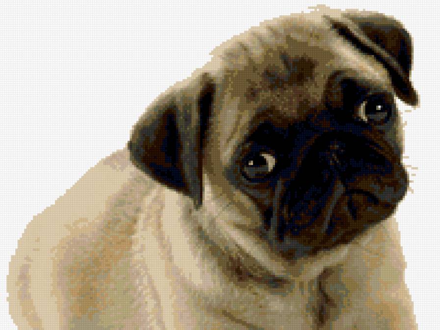 МОПС - предпросмотр