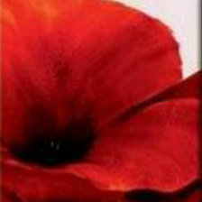 Схема вышивки «№2 (Цветы)»