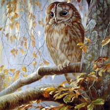 Схема вышивки «совушка»