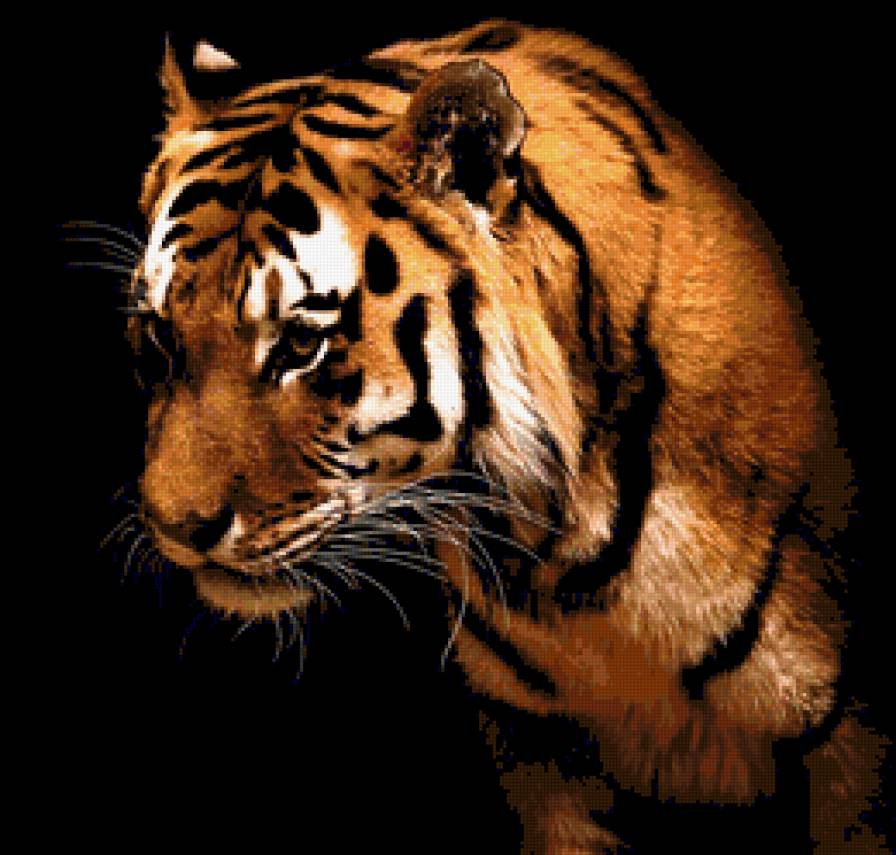 №247931 - предпросмотр