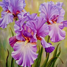 Схема вышивки «ирисы»