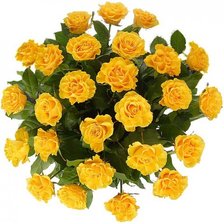 Схема вышивки «ЖЕЛТЫЕ РОЗЫ»