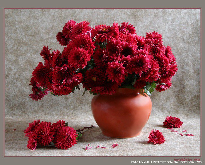 ХРИЗАНТЕМЫ - оригинал