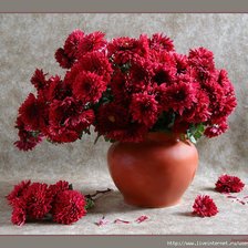 Схема вышивки «ХРИЗАНТЕМЫ»