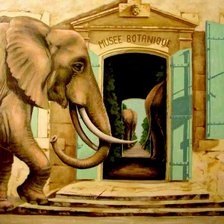 Схема вышивки «слоны в музее»