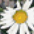 Предпросмотр схемы вышивки «РОМАШКИ,РОМАШКИ» (№247994)