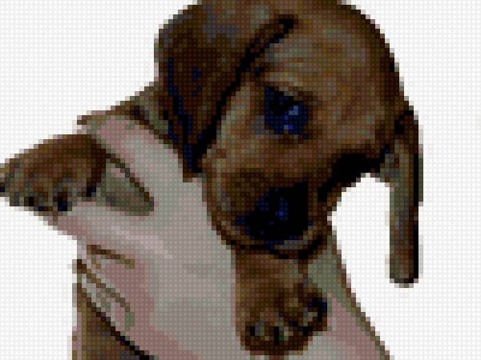 тимоша - предпросмотр