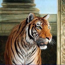 Схема вышивки «№248014»