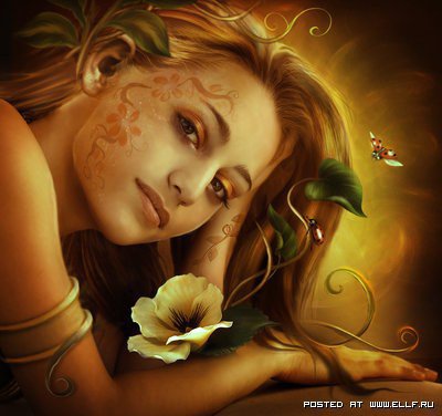 №248015 - оригинал