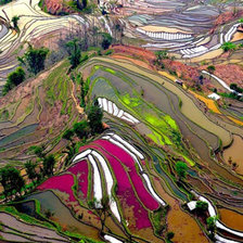 Схема вышивки «Сюрреализм»