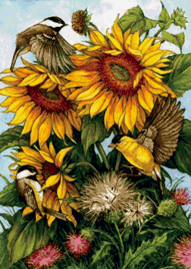 птицы - птицы, цветы, подсолнухи - предпросмотр